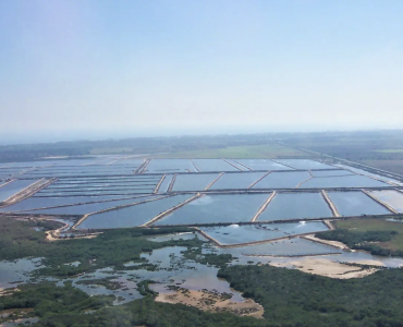 Granja de camarones super intensiva